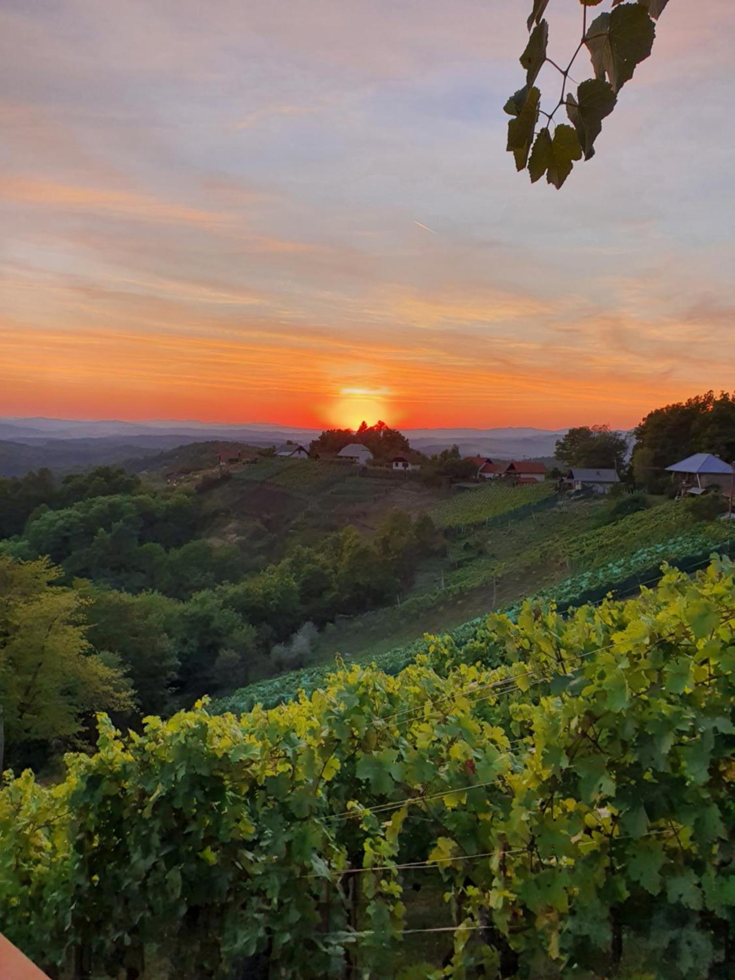 Vineyard Cottage Soncni Gric Trebnje Exterior foto