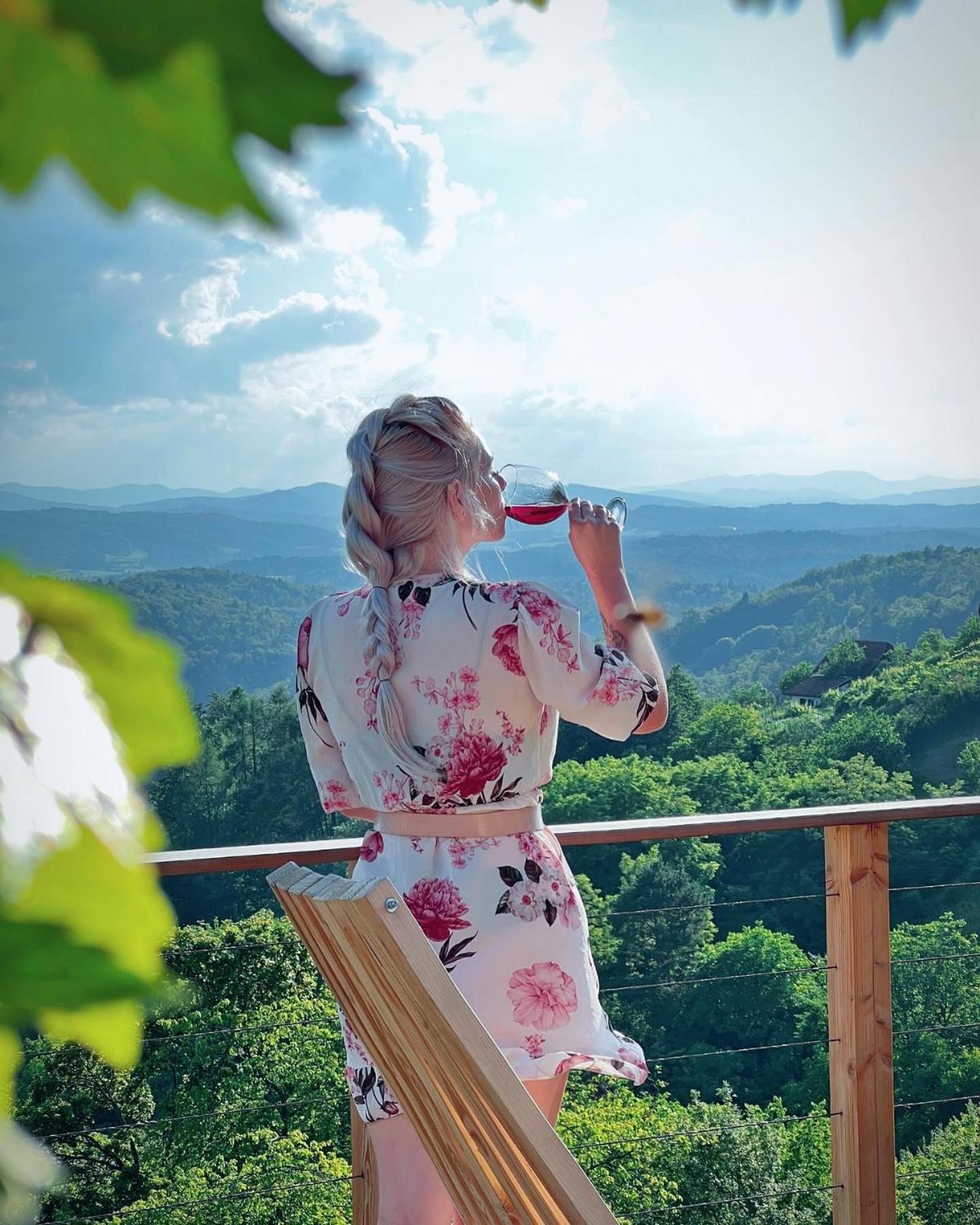 Vineyard Cottage Soncni Gric Trebnje Exterior foto